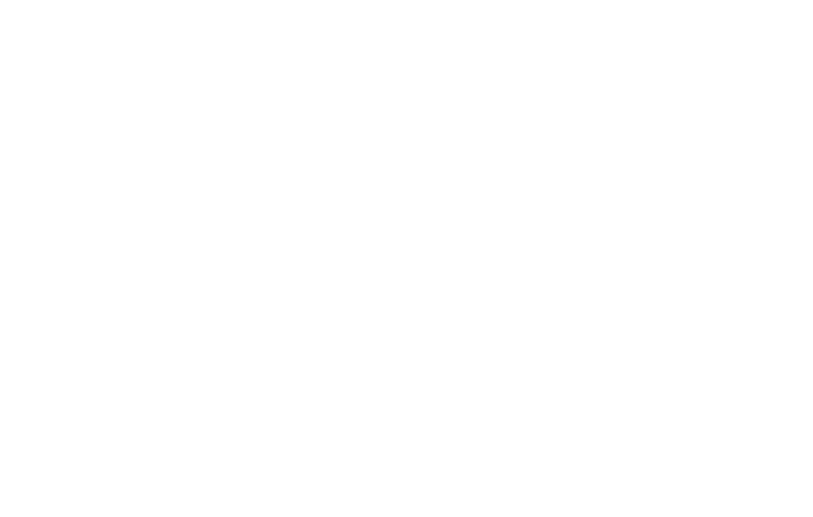 team currier logo