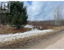 81 OLD L'AMABLE RD, bancroft, Ontario
