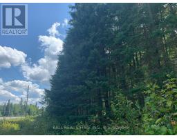 LOT 29 HIGHWAY 62 W, hastings highlands, Ontario