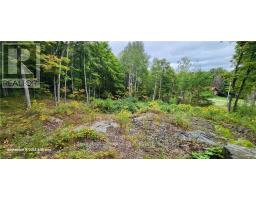 169 NORTHERN AVENUE, trent lakes, Ontario