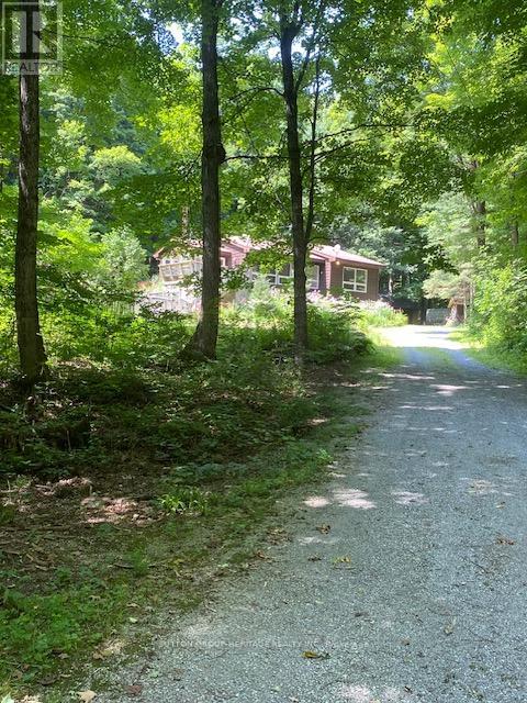 119 ACORN ROAD, kawartha lakes (norland), Ontario