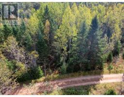 0 EGAN COURT, bancroft (dungannon ward), Ontario