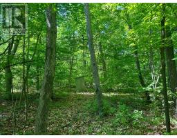 20 RIVERSIDE DRIVE, trent hills, Ontario