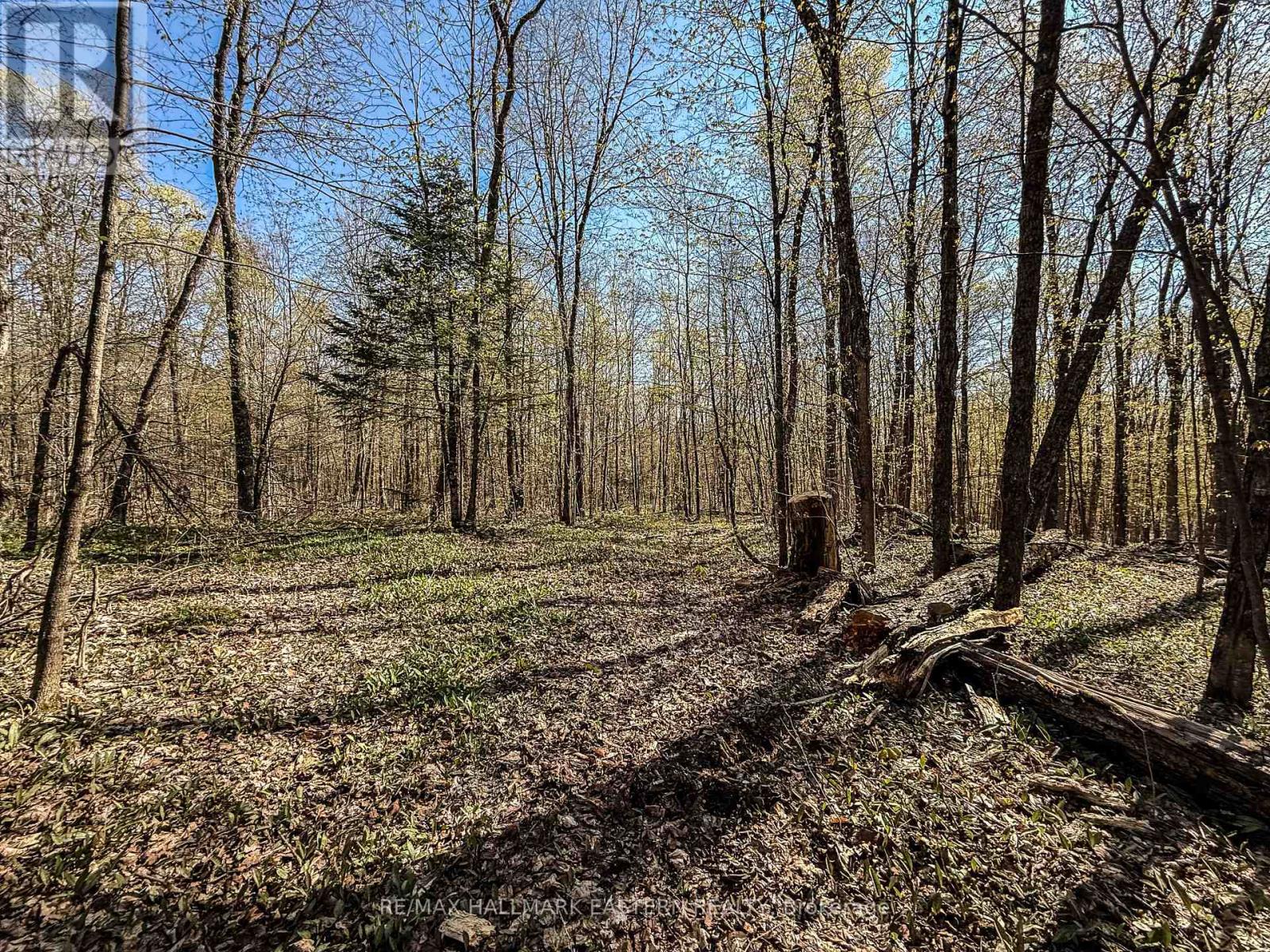 2494 HADLINGTON ROAD, highlands east (monmouth), Ontario