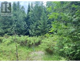 0 BARCROFT ROAD, trent lakes, Ontario