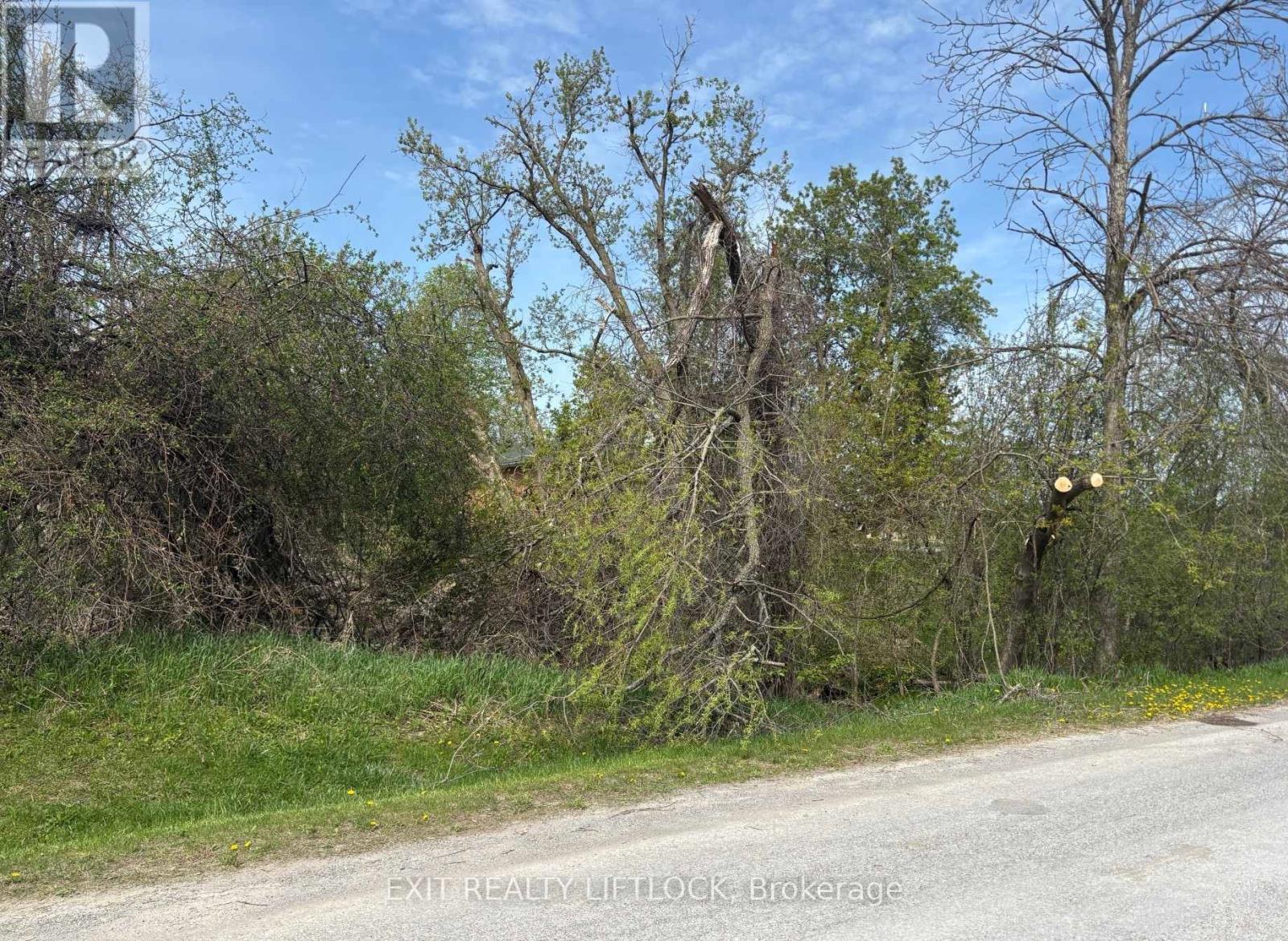 0 MAPLE RIDGE DRIVE, kawartha lakes (emily), Ontario