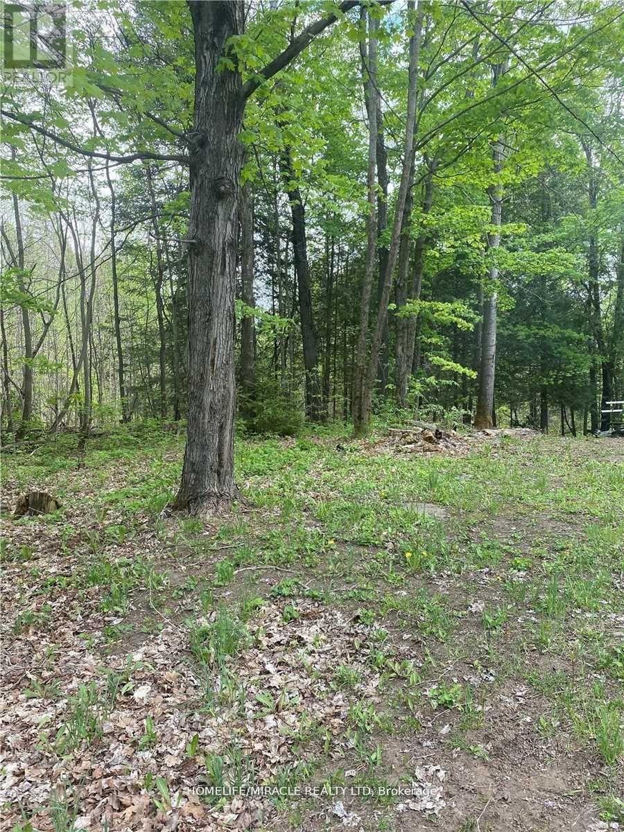 3460 HARBURN ROAD, dysart et al (harburn), Ontario