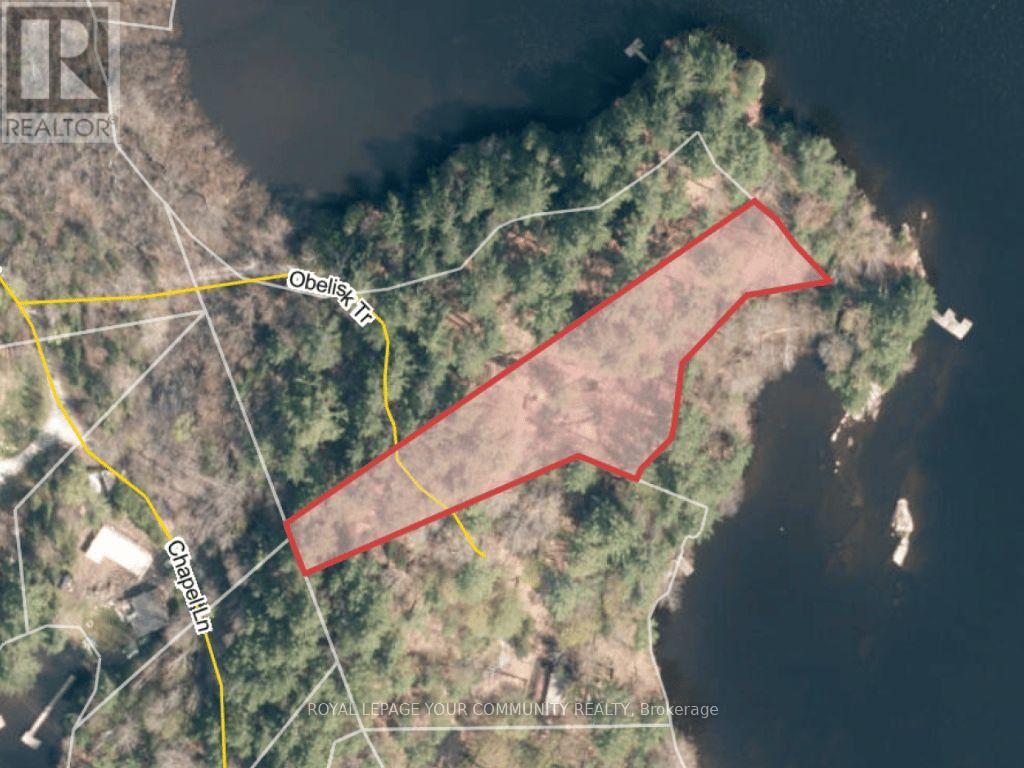 1031 OBELISK TRAIL, minden hills (lutterworth), Ontario