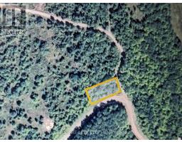 01 HWY 47, havelock-belmont-methuen (havelock), Ontario