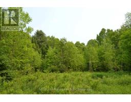 1527 MADILL ROAD, highlands east (monmouth), Ontario