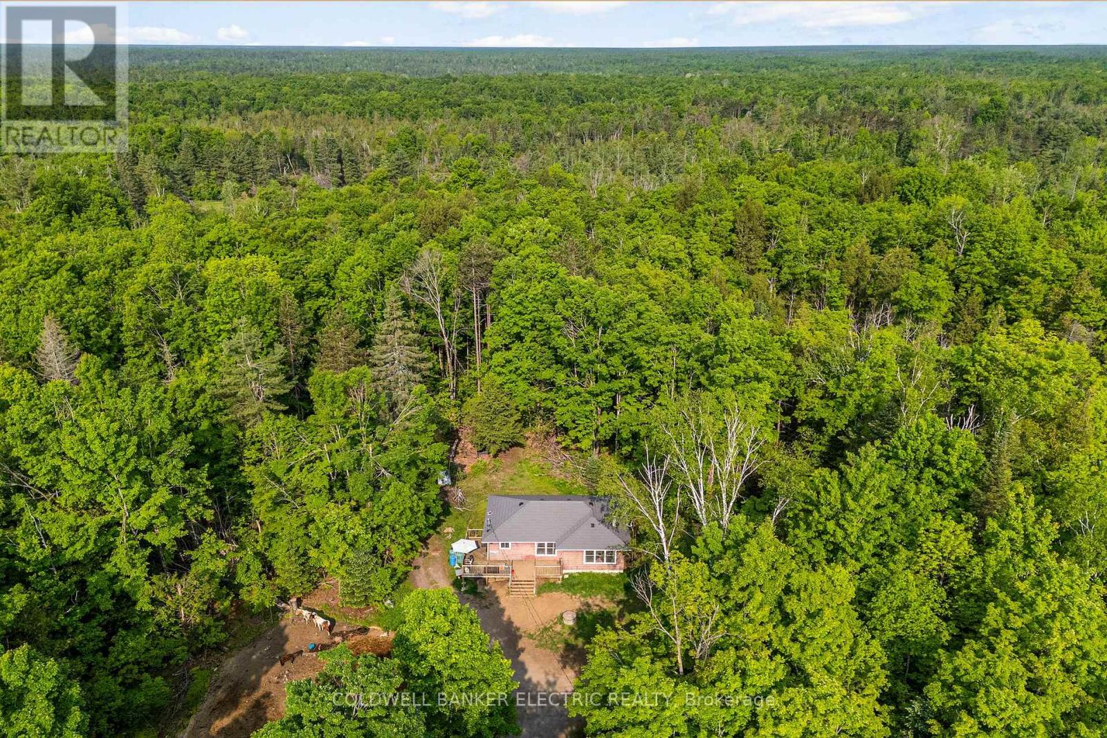 8248 COUNTY ROAD 46 ROAD, havelock-belmont-methuen, Ontario