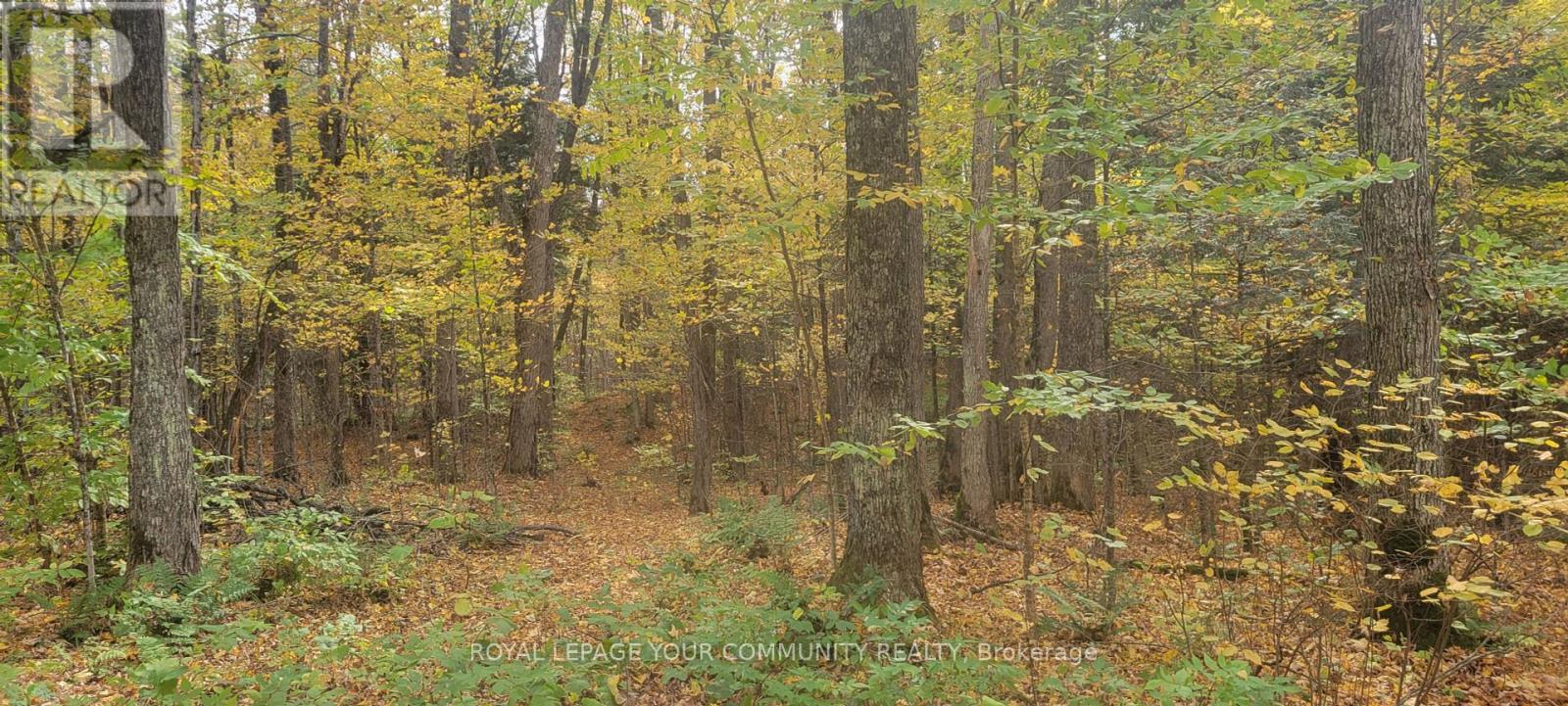 0 TUSK TRAIL, dysart et al (harcourt), Ontario