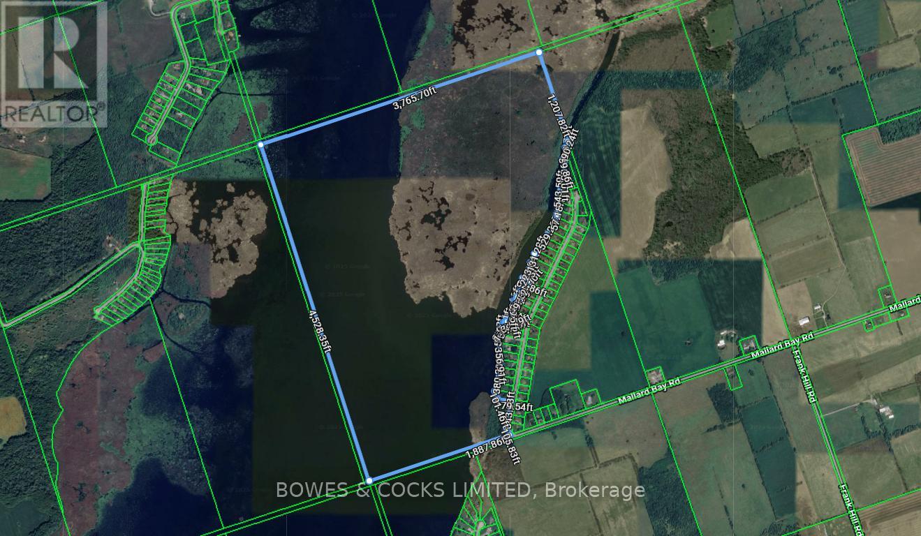 0 CEDARVIEW DRIVE, kawartha lakes (emily), Ontario