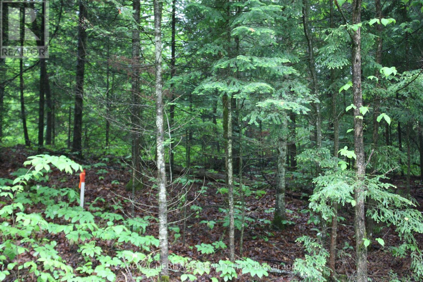 0 QUARRY ROAD, bancroft (dungannon ward), Ontario