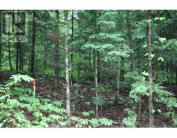 0 QUARRY ROAD, bancroft (dungannon ward), Ontario