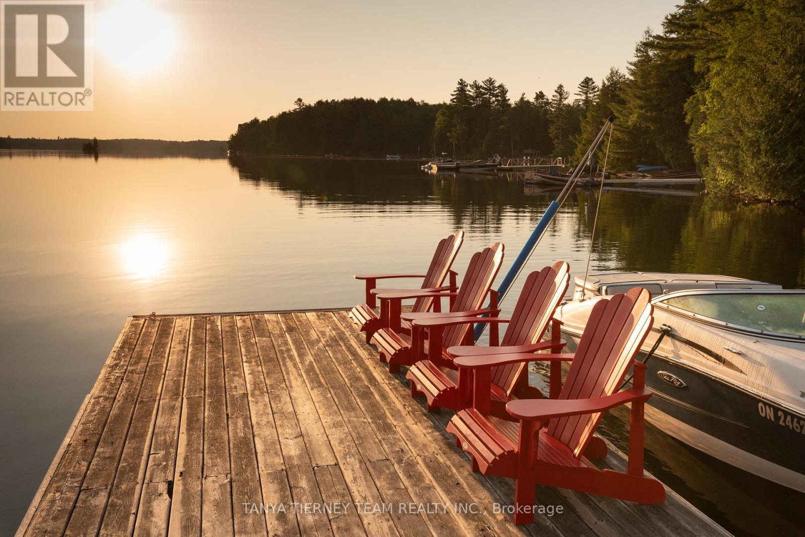 86 FIRE ROUTE 74D, north kawartha, Ontario