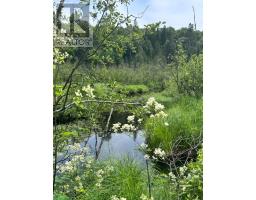 0 PT LT 6 CON 9 MADILL ROAD, highlands east (monmouth), Ontario