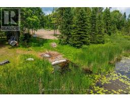 0 PEARCE ROAD, kawartha lakes (bexley), Ontario