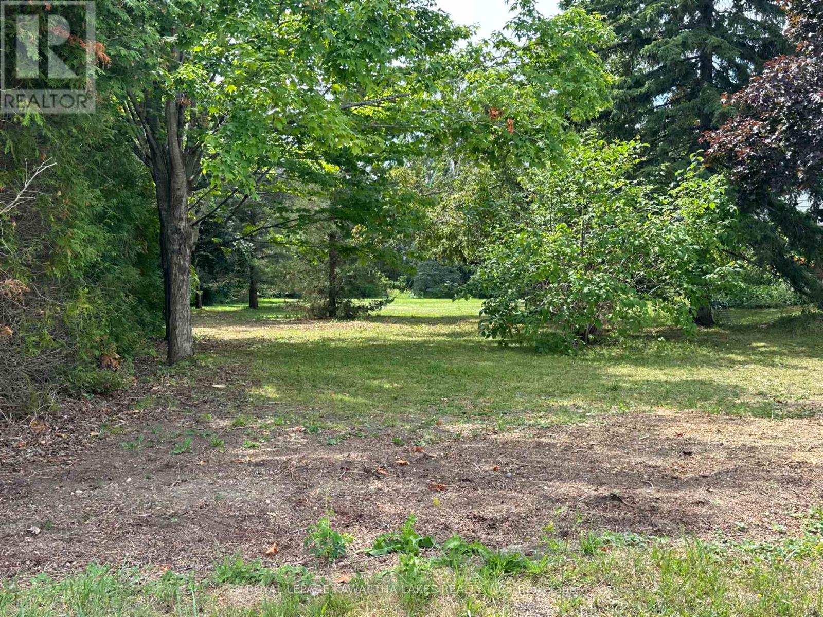 17288 SIMCOE STREET, kawartha lakes (manilla), Ontario