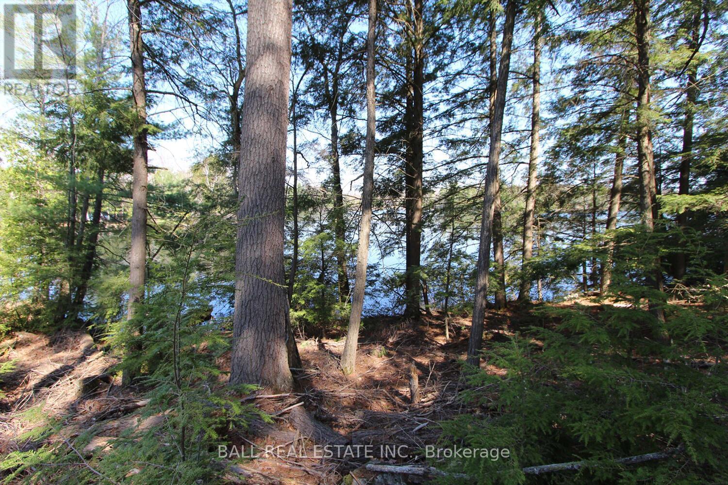 PT2&3 FIRE ROUTE 223, trent lakes, Ontario