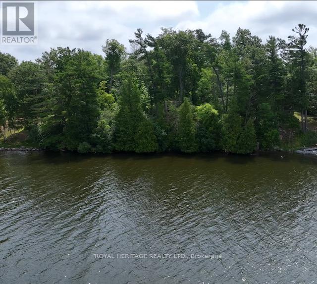 26 COW ISLAND, otonabee-south monaghan, Ontario