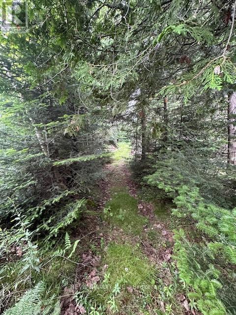 00 HIGHWAY 62 N, hastings highlands (monteagle ward), Ontario