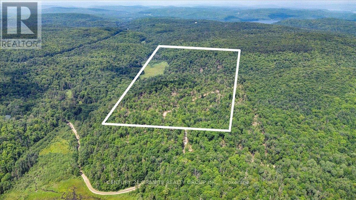 0 AIRPORT ROAD, highlands east (cardiff ward), Ontario