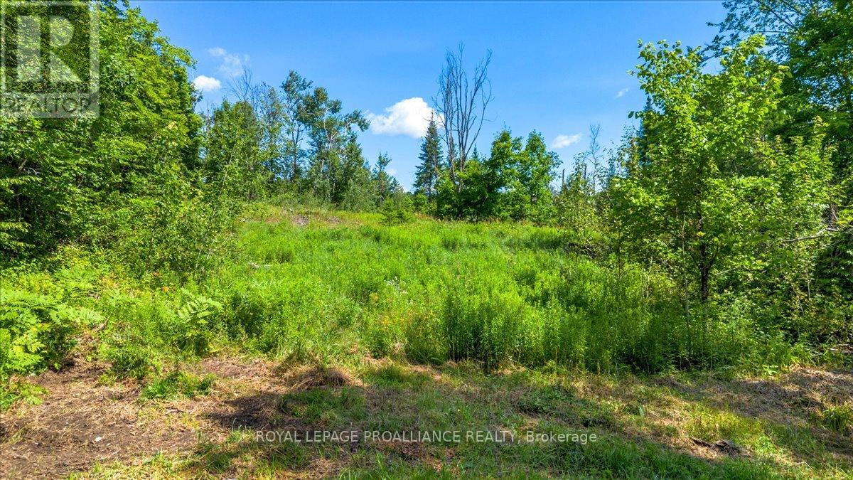 168 LIMERICK LAKE ROAD, tudor & cashel, Ontario