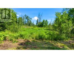 168 LIMERICK LAKE ROAD, tudor & cashel, Ontario