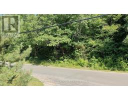 0 MAXWELL SETTLEMENT ROAD, bancroft (bancroft ward), Ontario