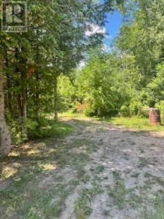 19 CARLTON CRESCENT, kawartha lakes (omemee), Ontario