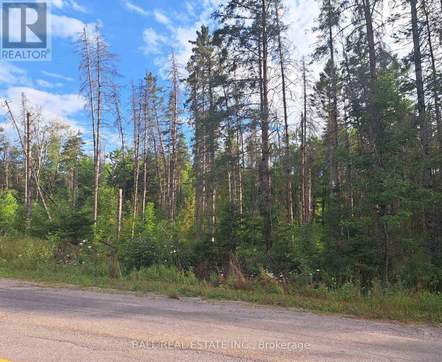 0 CORDOVA ROAD, marmora and lake (marmora ward), Ontario