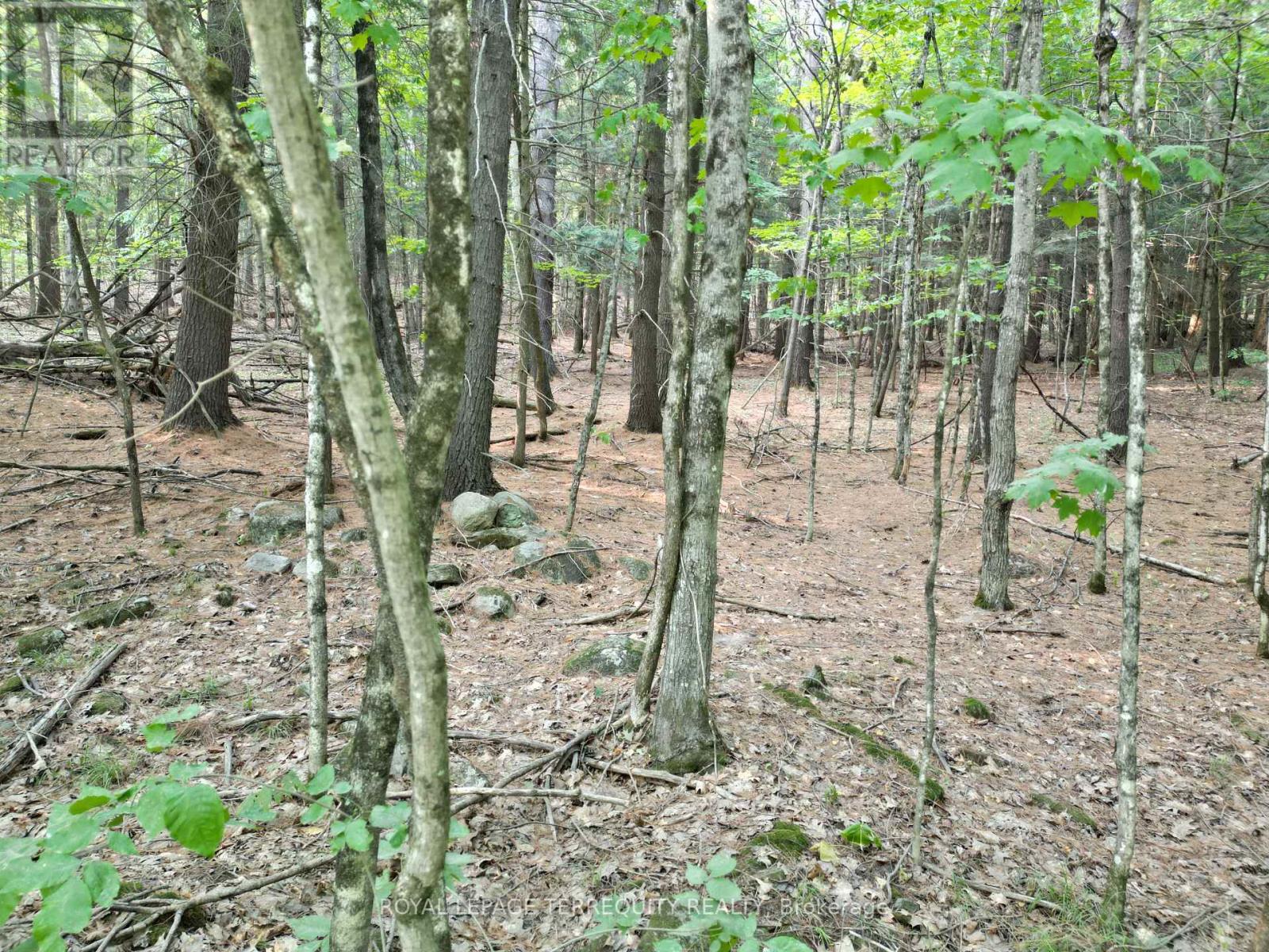 00 BUCKSLIDE RD, algonquin highlands (stanhope), Ontario