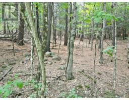 00 BUCKSLIDE RD, algonquin highlands (stanhope), Ontario