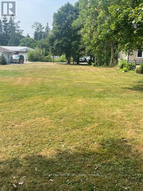 12 ALMA STREET N, kawartha lakes (omemee), Ontario