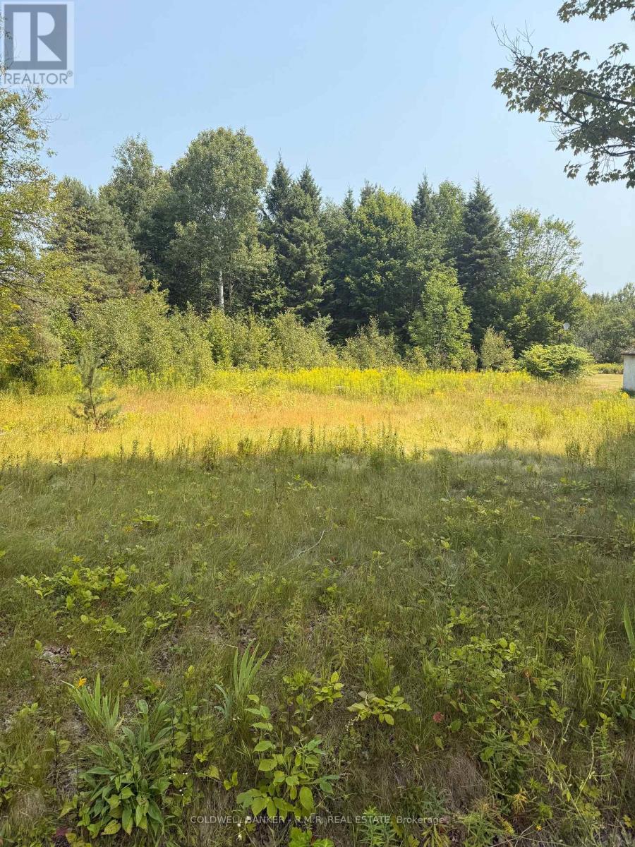 3995 BOLTER ROAD, hastings highlands (wicklow ward), Ontario