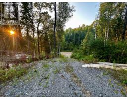 1654 MACKENZIE LAKE ROAD, south algonquin, Ontario