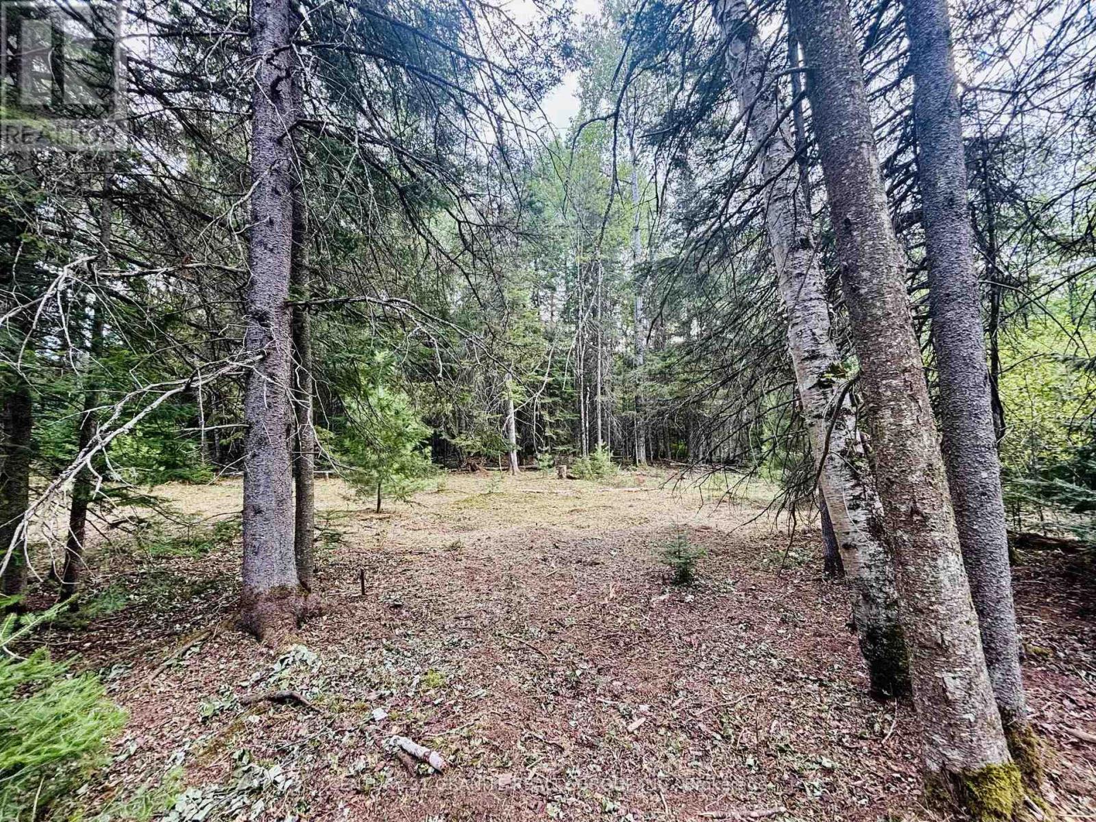 1227 BAY LAKE ROAD, bancroft (bancroft ward), Ontario