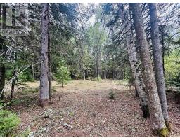 1227 BAY LAKE ROAD, bancroft (bancroft ward), Ontario