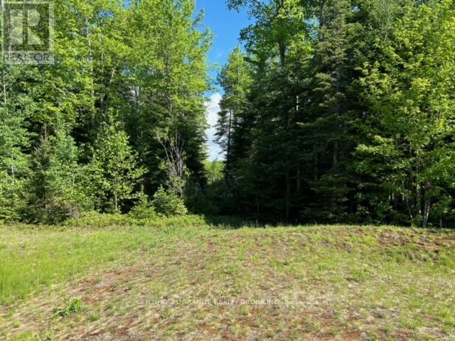LOT 27 BANCROFT RIDGE DRIVE, bancroft (bancroft ward), Ontario