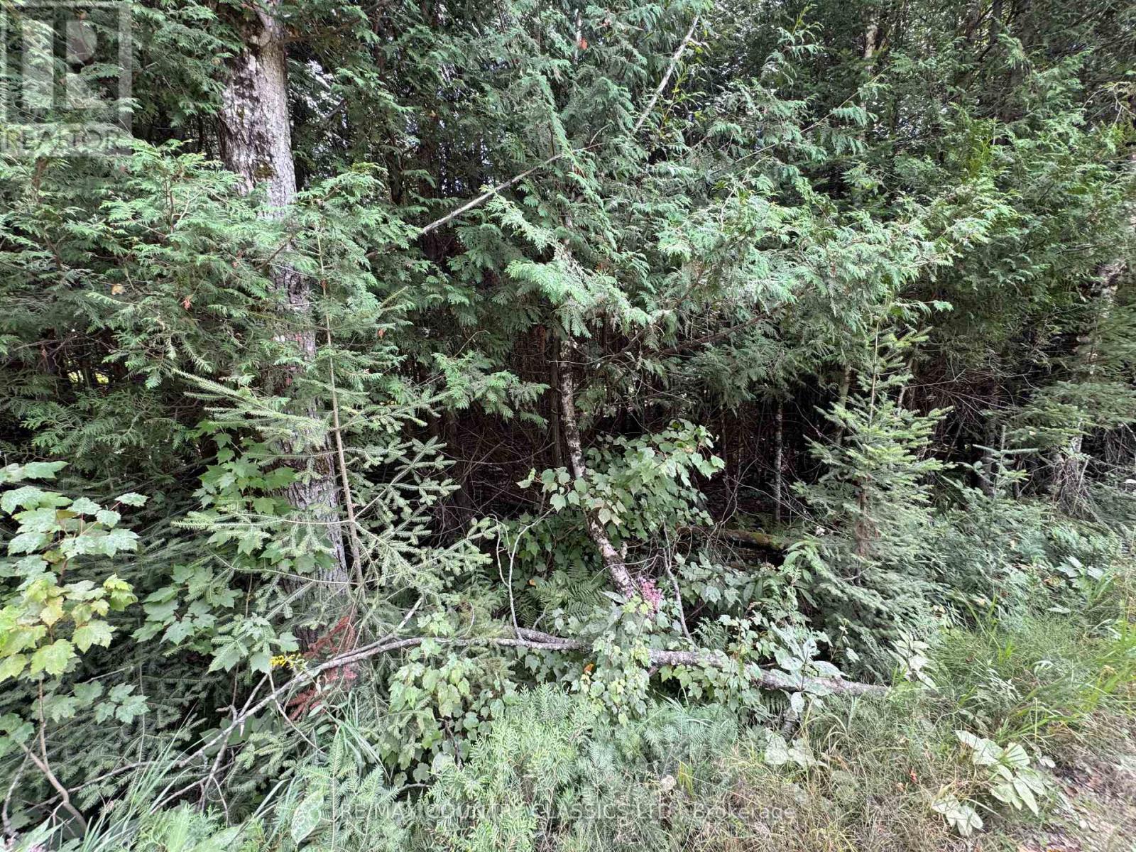 0 SCHIMMENS ROAD, lyndoch and raglan, Ontario