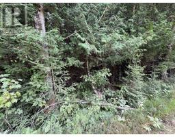 0 SCHIMMENS ROAD, lyndoch and raglan, Ontario