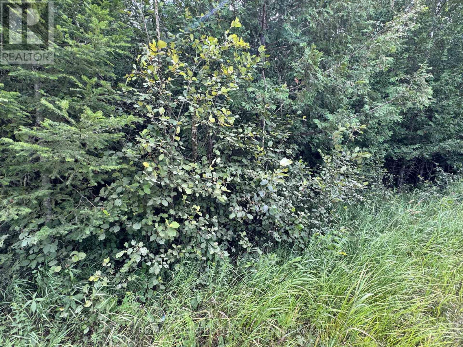 00 SCHIMMENS ROAD, lyndoch and raglan, Ontario