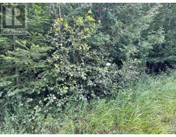 00 SCHIMMENS ROAD, lyndoch and raglan, Ontario