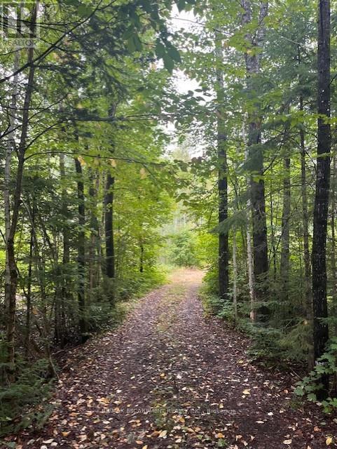 4333 LOOP ROAD, dysart et al (harcourt), Ontario
