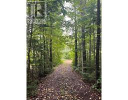 4333 LOOP ROAD, dysart et al (harcourt), Ontario