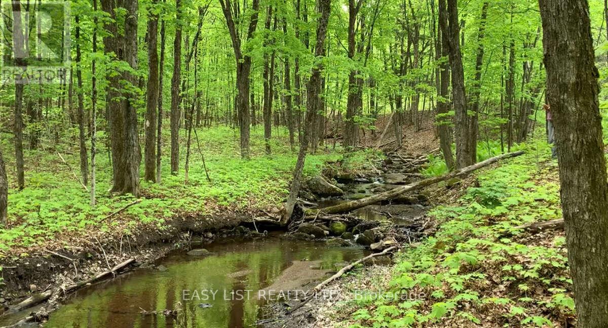 LOT 1 COLONIAL ROAD, minden hills (snowdon), Ontario