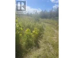 PT 2 LOT 13 CONC 2 ASPHODEL 3RD LINE, asphodel-norwood, Ontario