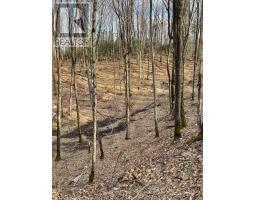 0 RALLISON ROAD, faraday, Ontario