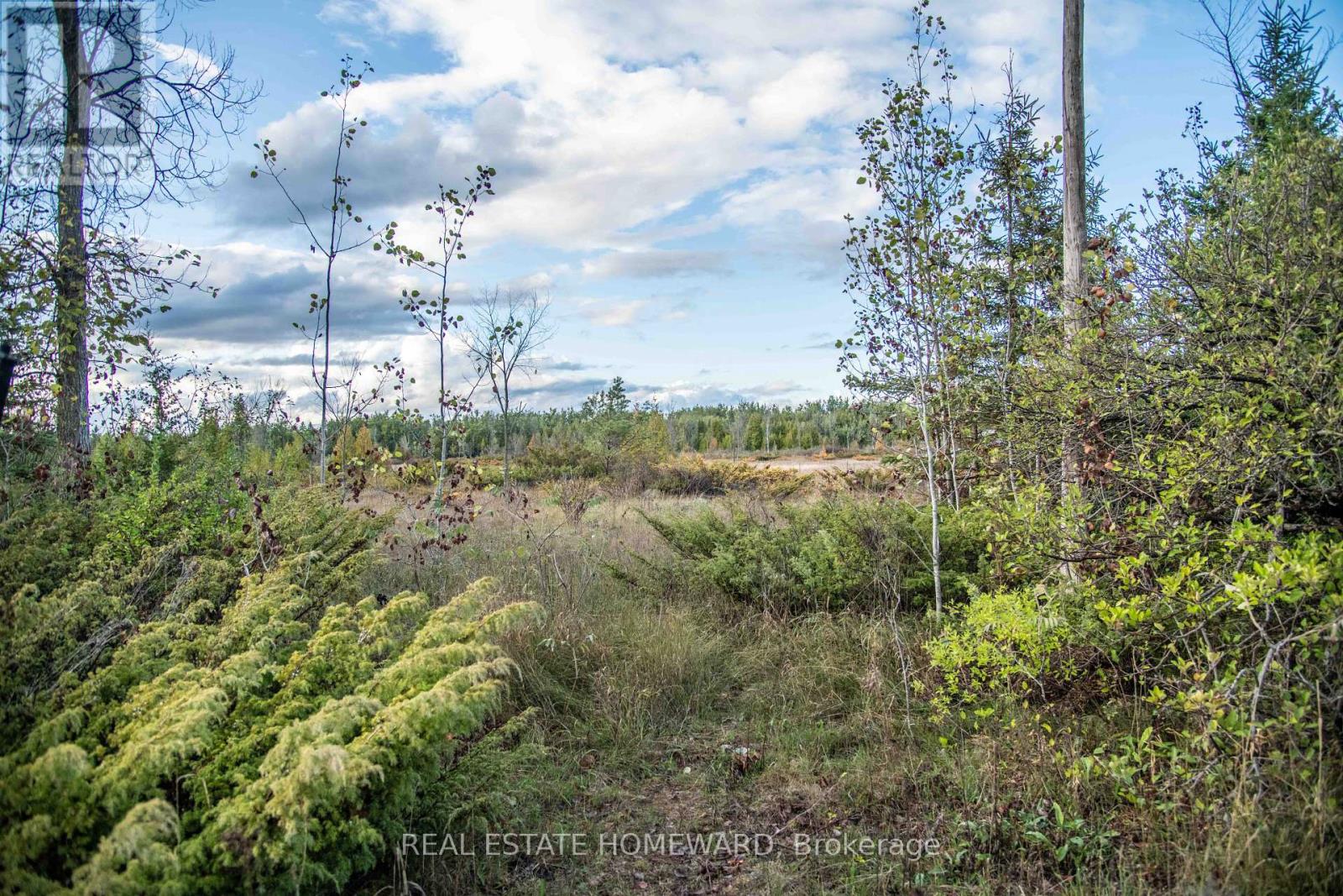 254-256 MCGUIRE BEACH ROAD, kawartha lakes (carden), Ontario